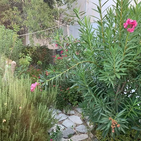 Kerylos , Au Coeur De Parikia, Avec Jardin Holiday home *